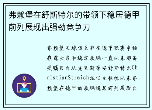 弗赖堡在舒斯特尔的带领下稳居德甲前列展现出强劲竞争力 弗赖堡在舒斯特尔的带领下稳居德甲前列展现出强劲竞争力